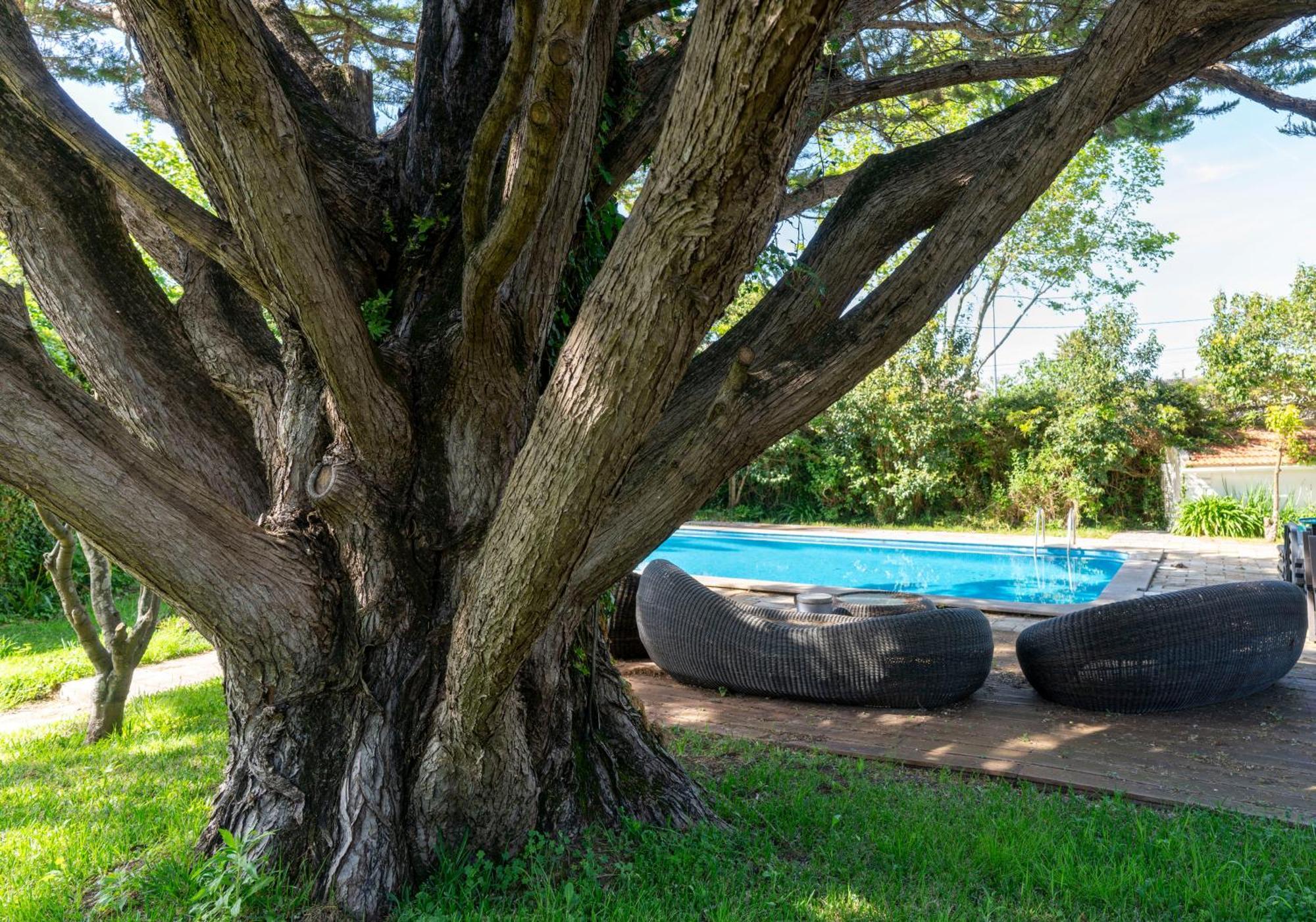 Villa Das Rosas Σίντρα Εξωτερικό φωτογραφία