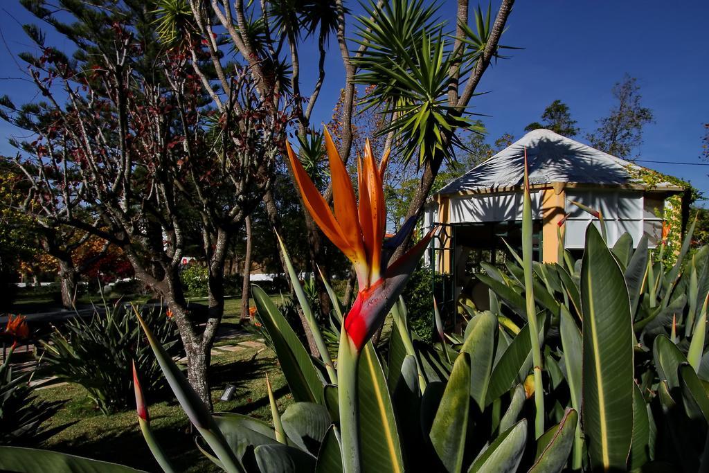 Villa Das Rosas Σίντρα Εξωτερικό φωτογραφία